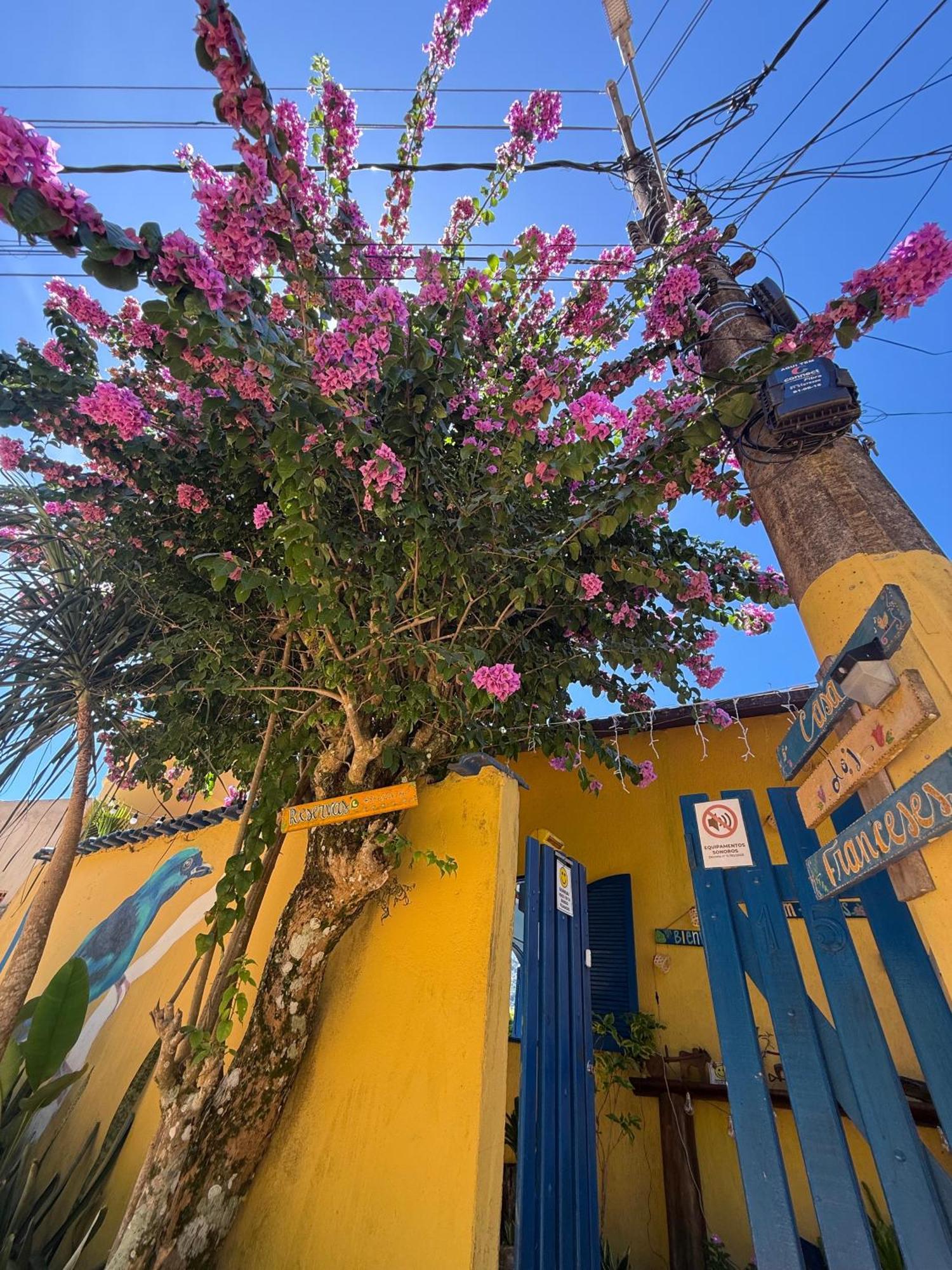 Vila Casa Dos Franceses Ilha Grande Exteriér fotografie